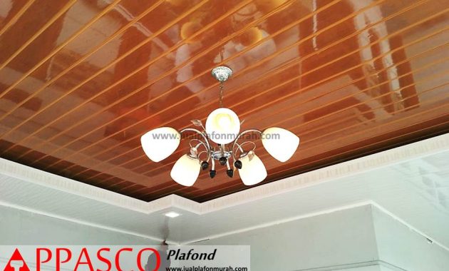 Detail Plafon Pvc Teras Rumah Nomer 47