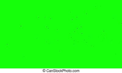 Detail Plain Green Screen Background Hd Nomer 20