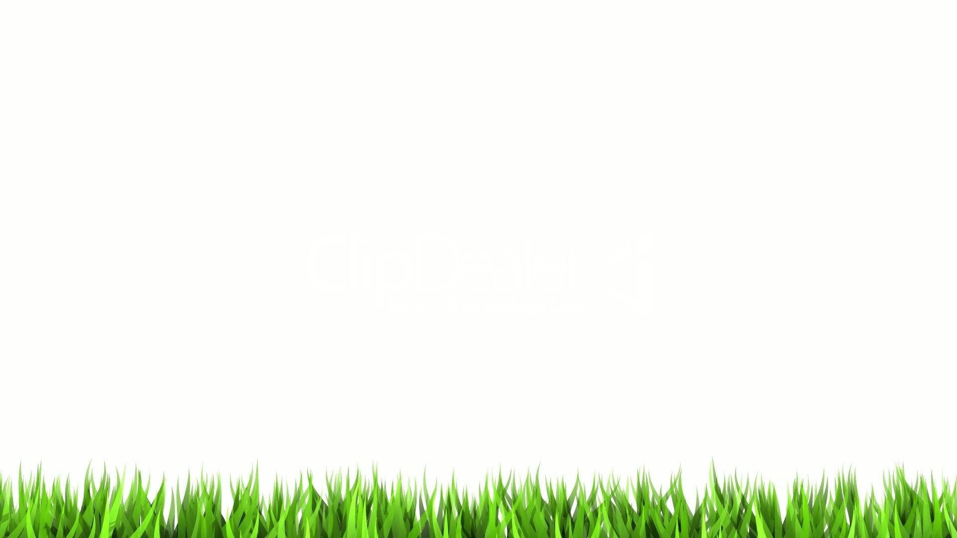 Detail Plain White Background Nomer 55