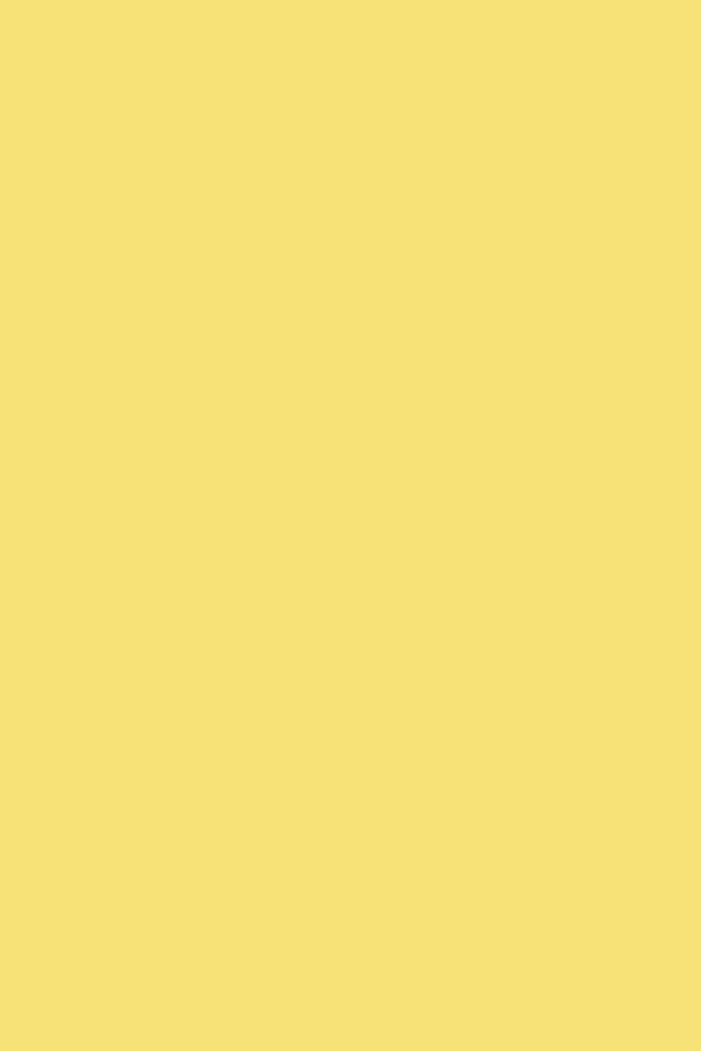 Detail Plain Yellow Background Nomer 29