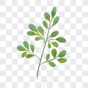 Detail Plant Cartoon Png Nomer 12