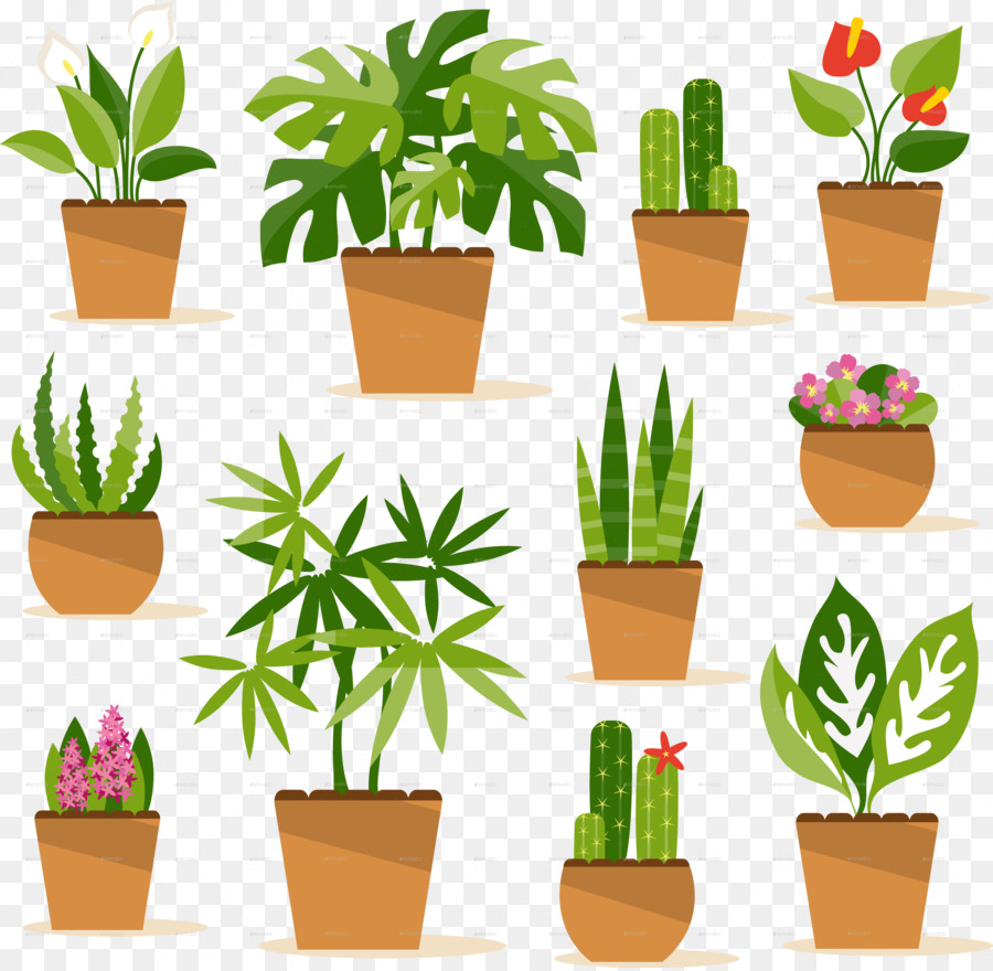 Detail Plant Cartoon Png Nomer 20