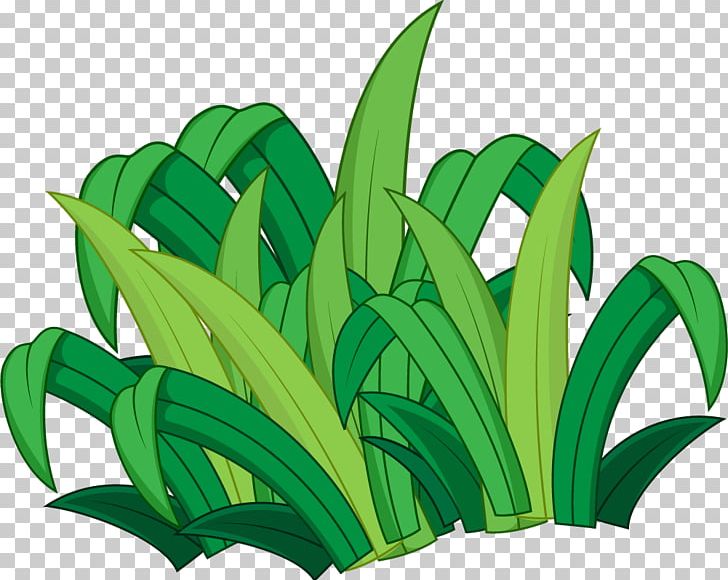 Detail Plant Cartoon Png Nomer 29