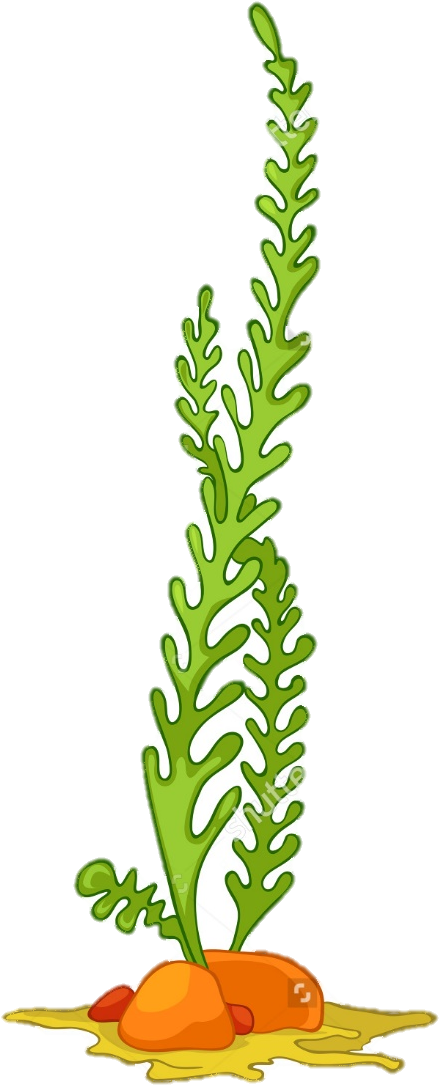 Detail Plant Cartoon Png Nomer 36