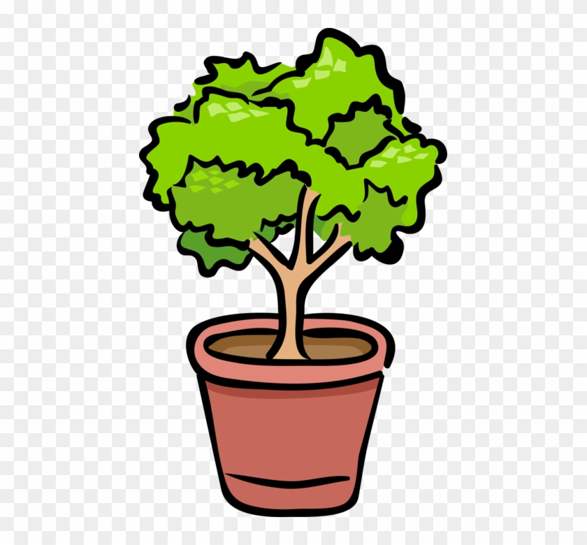 Detail Plant Cartoon Png Nomer 38