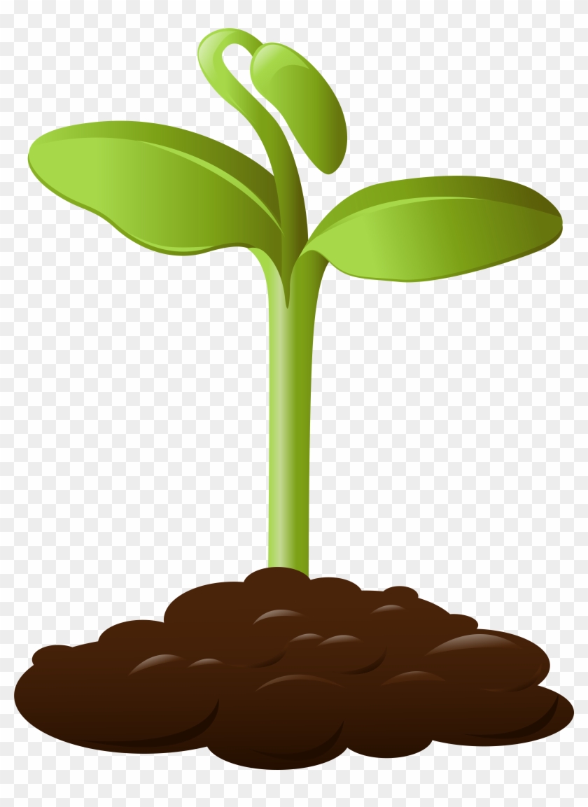 Detail Plant Clipart Transparent Nomer 9