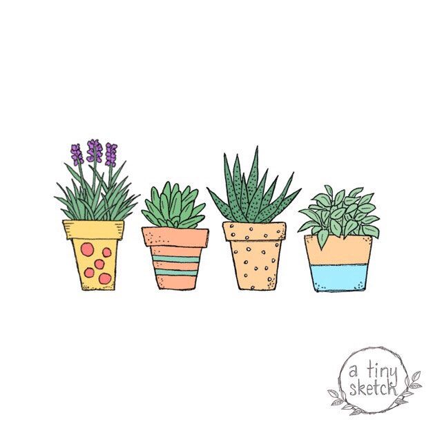 Detail Plant Clipart Transparent Nomer 10