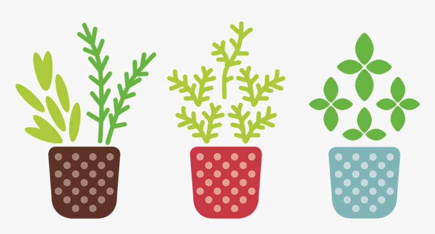 Detail Plant Clipart Transparent Nomer 12