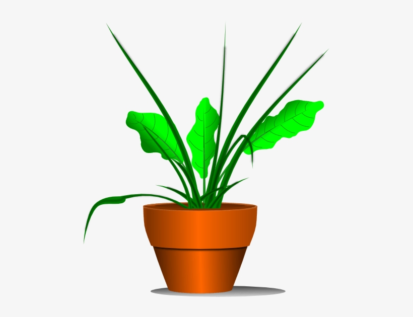 Detail Plant Clipart Transparent Nomer 19