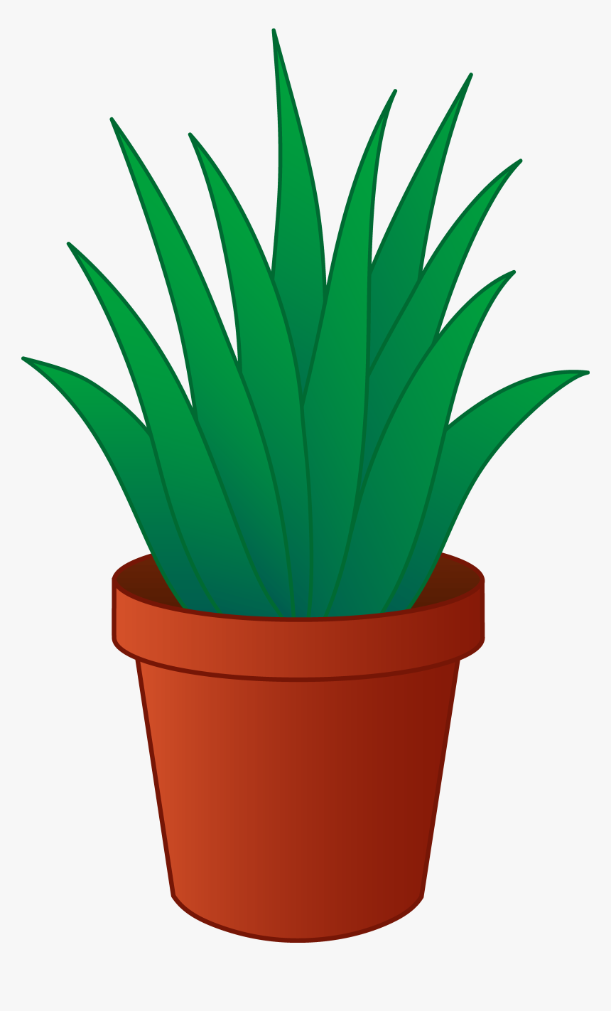 Detail Plant Clipart Transparent Nomer 3