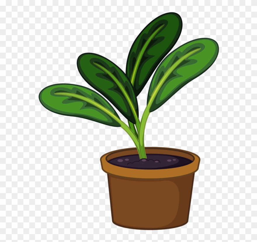 Detail Plant Clipart Transparent Nomer 6