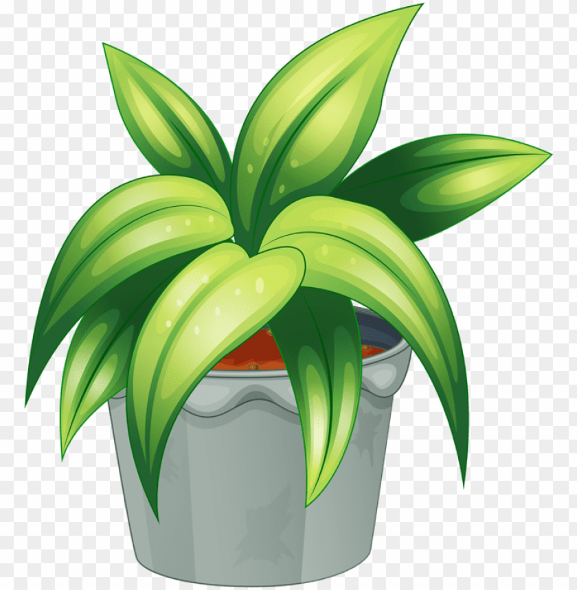 Detail Plant Clipart Transparent Nomer 8