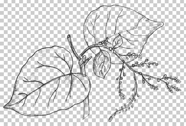 Detail Plant Drawing Png Nomer 11