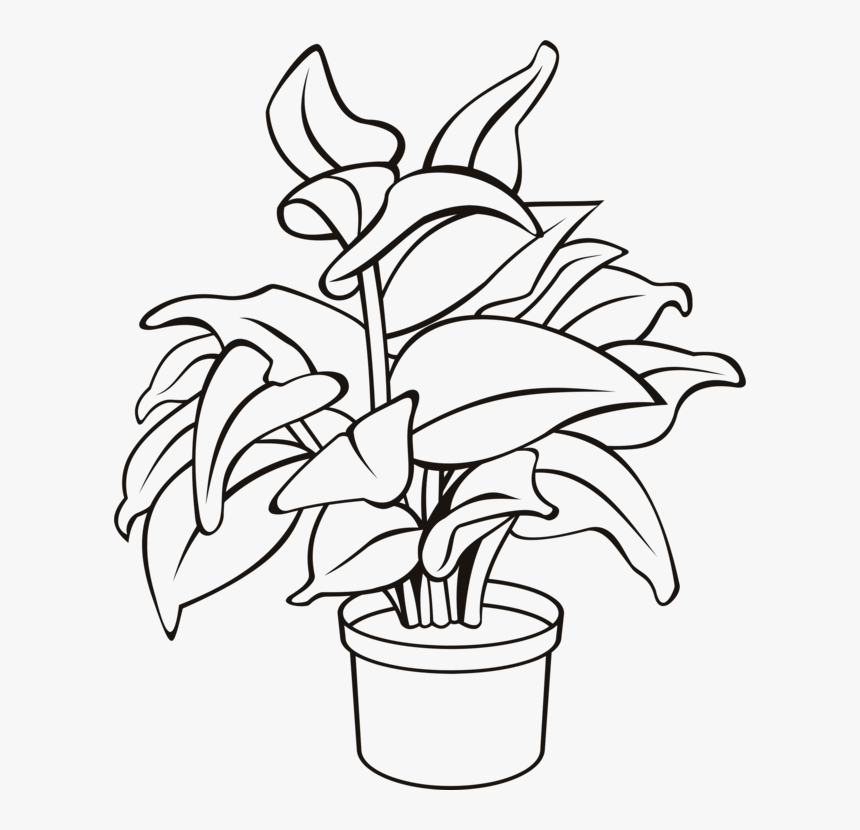 Detail Plant Drawing Png Nomer 33
