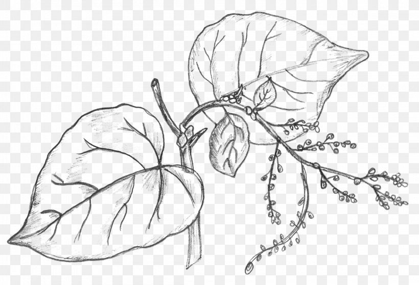 Detail Plant Drawing Png Nomer 34