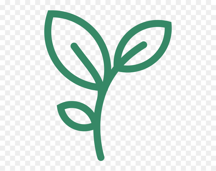 Detail Plant Growth Png Nomer 19