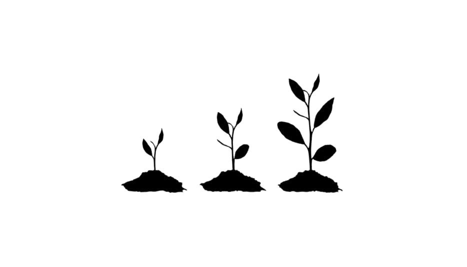Detail Plant Growth Png Nomer 25