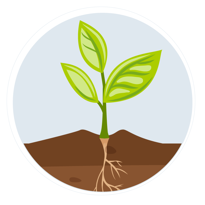 Detail Plant Growth Png Nomer 29