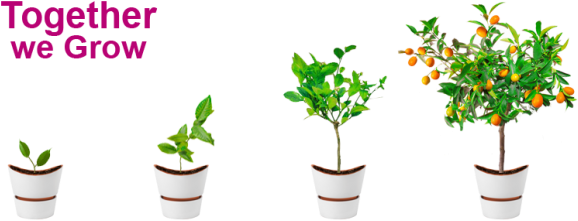 Detail Plant Growth Png Nomer 35