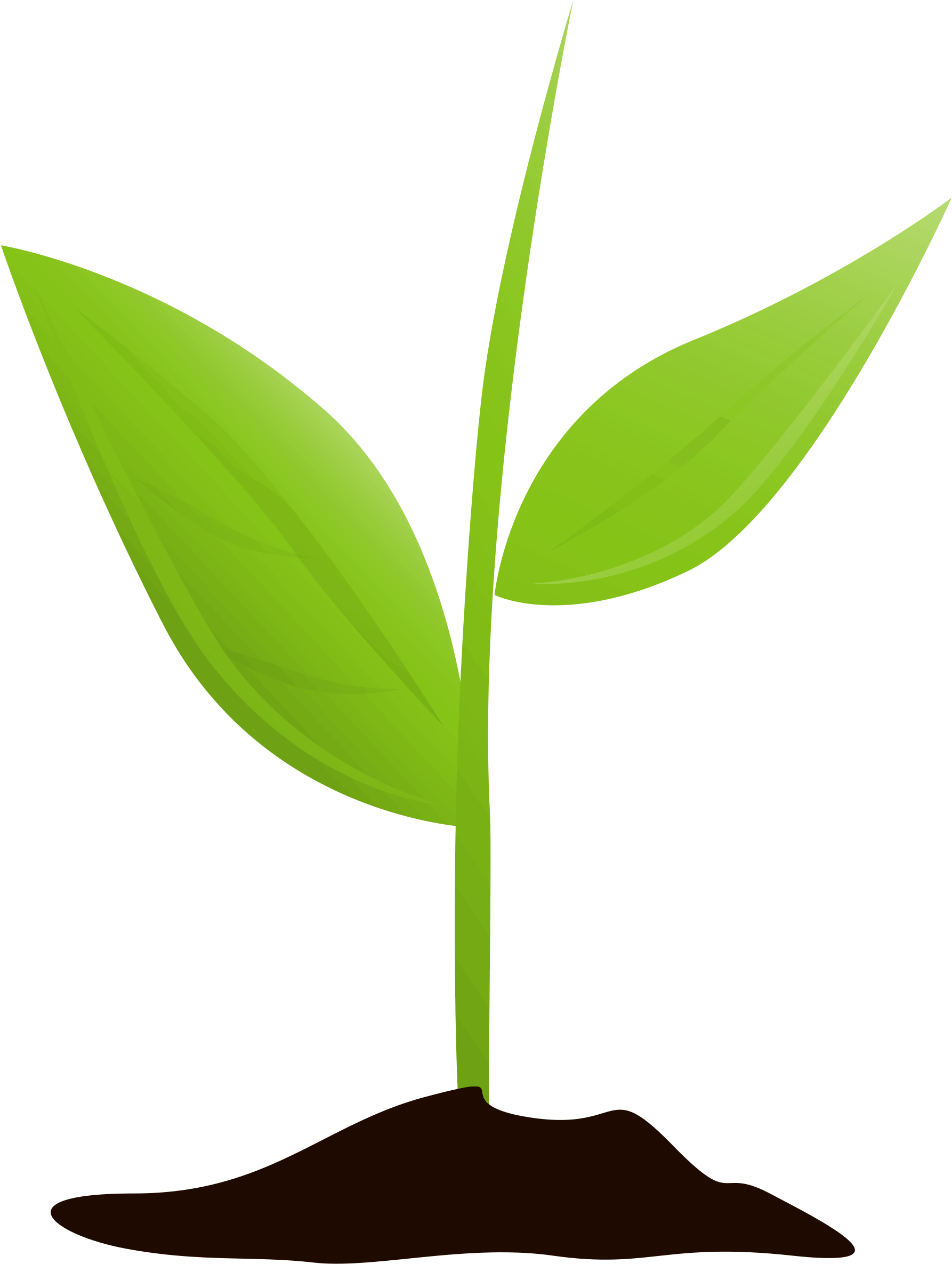 Detail Plant Growth Png Nomer 36