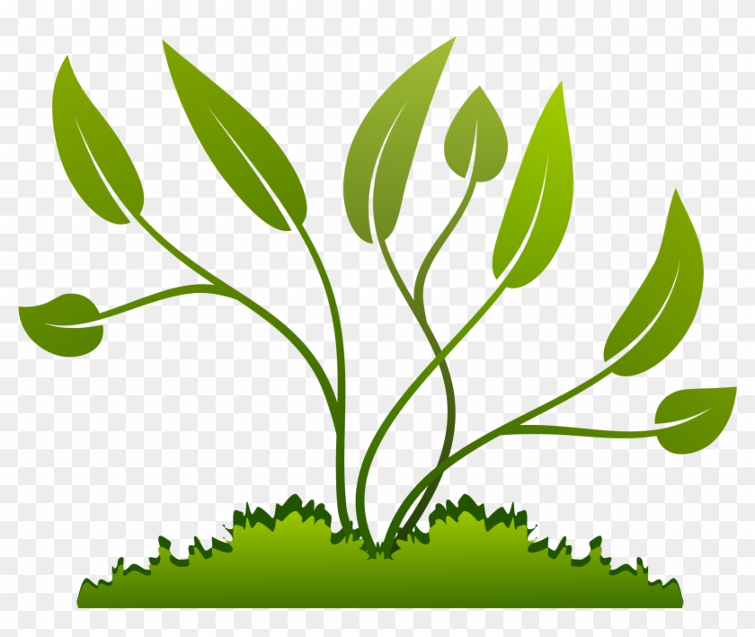 Detail Plant Growth Png Nomer 41