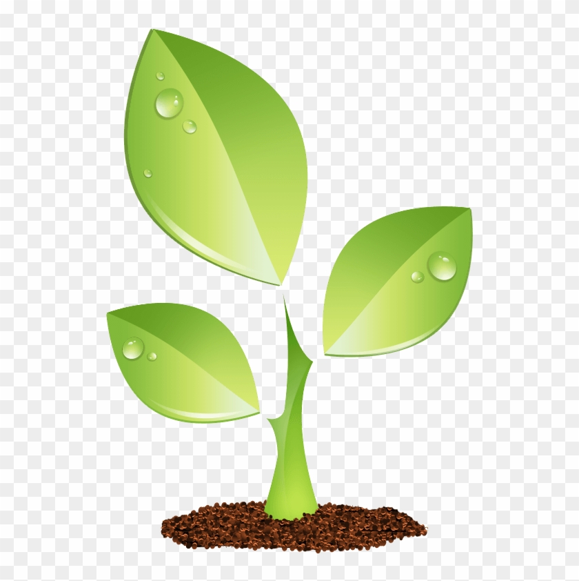 Detail Plant Growth Png Nomer 42