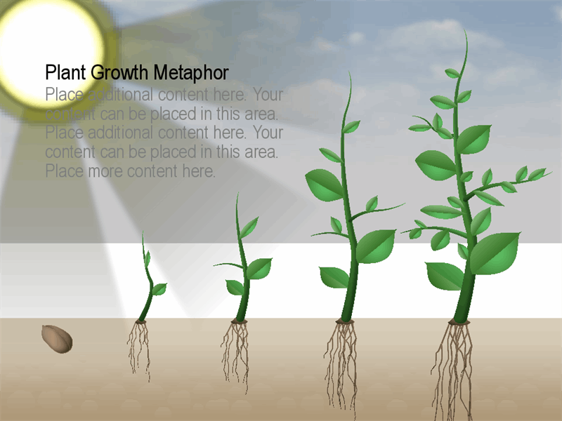Detail Plant Growth Png Nomer 48