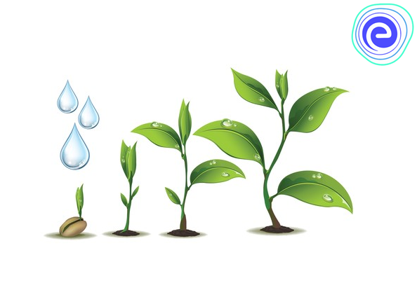Detail Plant Growth Png Nomer 49