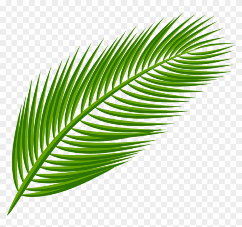 Detail Plant Leaf Png Nomer 50