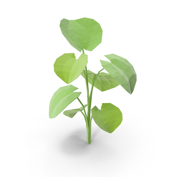 Detail Plant Png Images Nomer 24