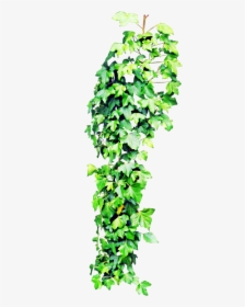 Detail Plant Png Images Nomer 30