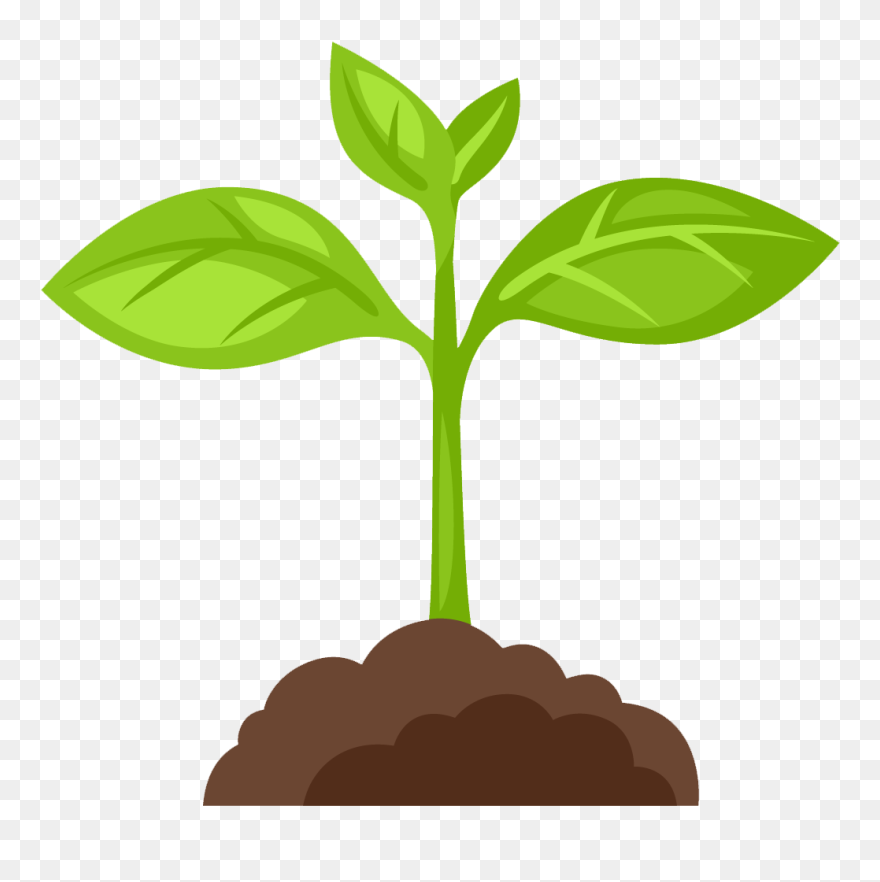 Detail Plant Png Images Nomer 40