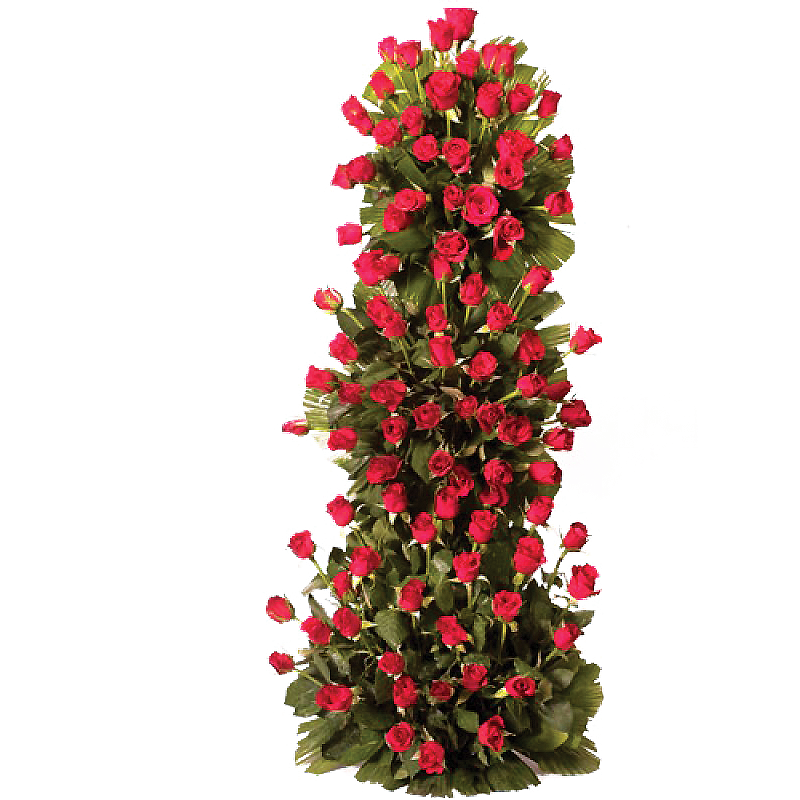 Detail Plant Png Images Nomer 42