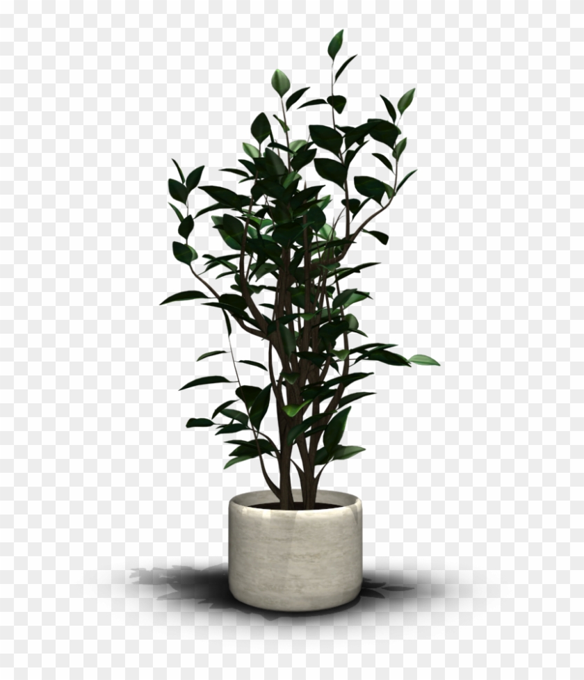 Detail Plant Png Transparent Nomer 11