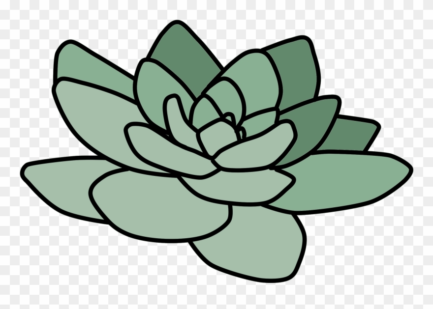 Detail Plant Png Tumblr Nomer 22