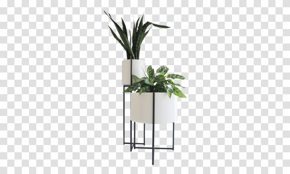 Download Plant Vase Png Nomer 10