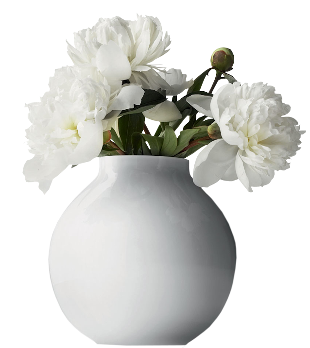 Detail Plant Vase Png Nomer 12