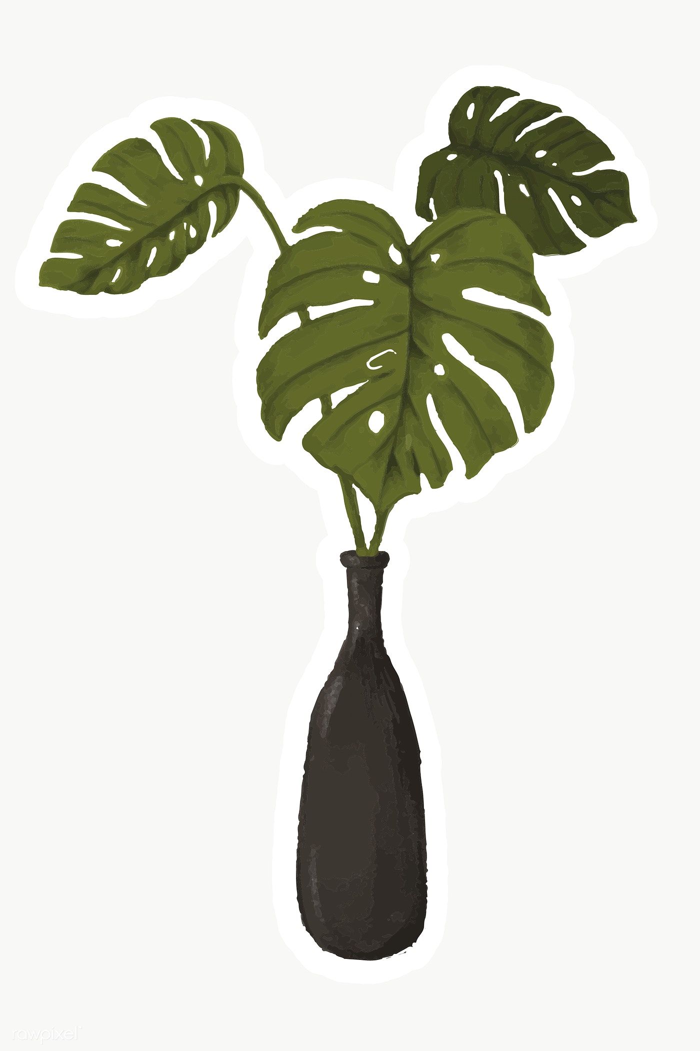 Detail Plant Vase Png Nomer 13