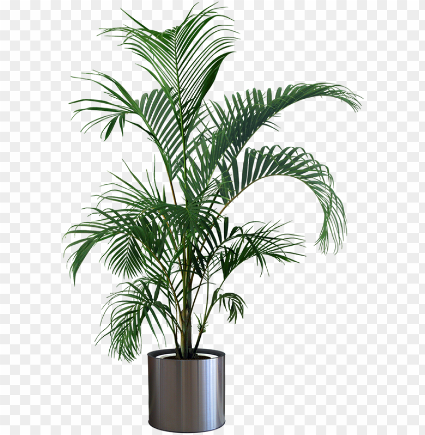 Detail Plant Vase Png Nomer 20