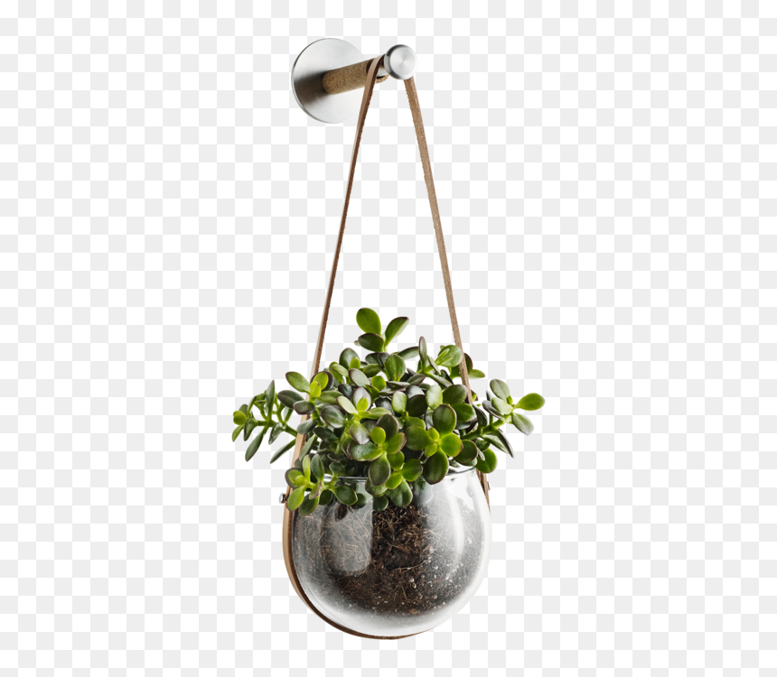 Detail Plant Vase Png Nomer 42