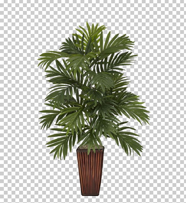 Detail Plant Vase Png Nomer 53