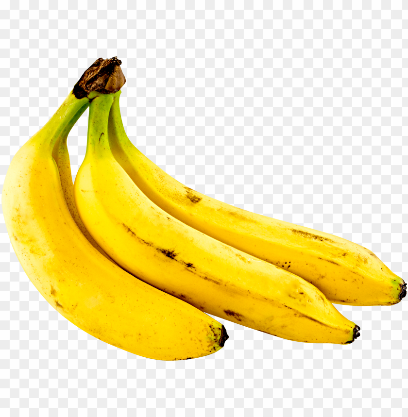detail-plantain-png-koleksi-nomer-16