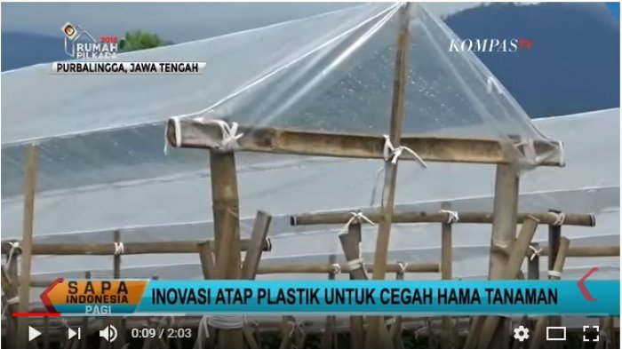 Detail Plastik Atap Rumah Nomer 48