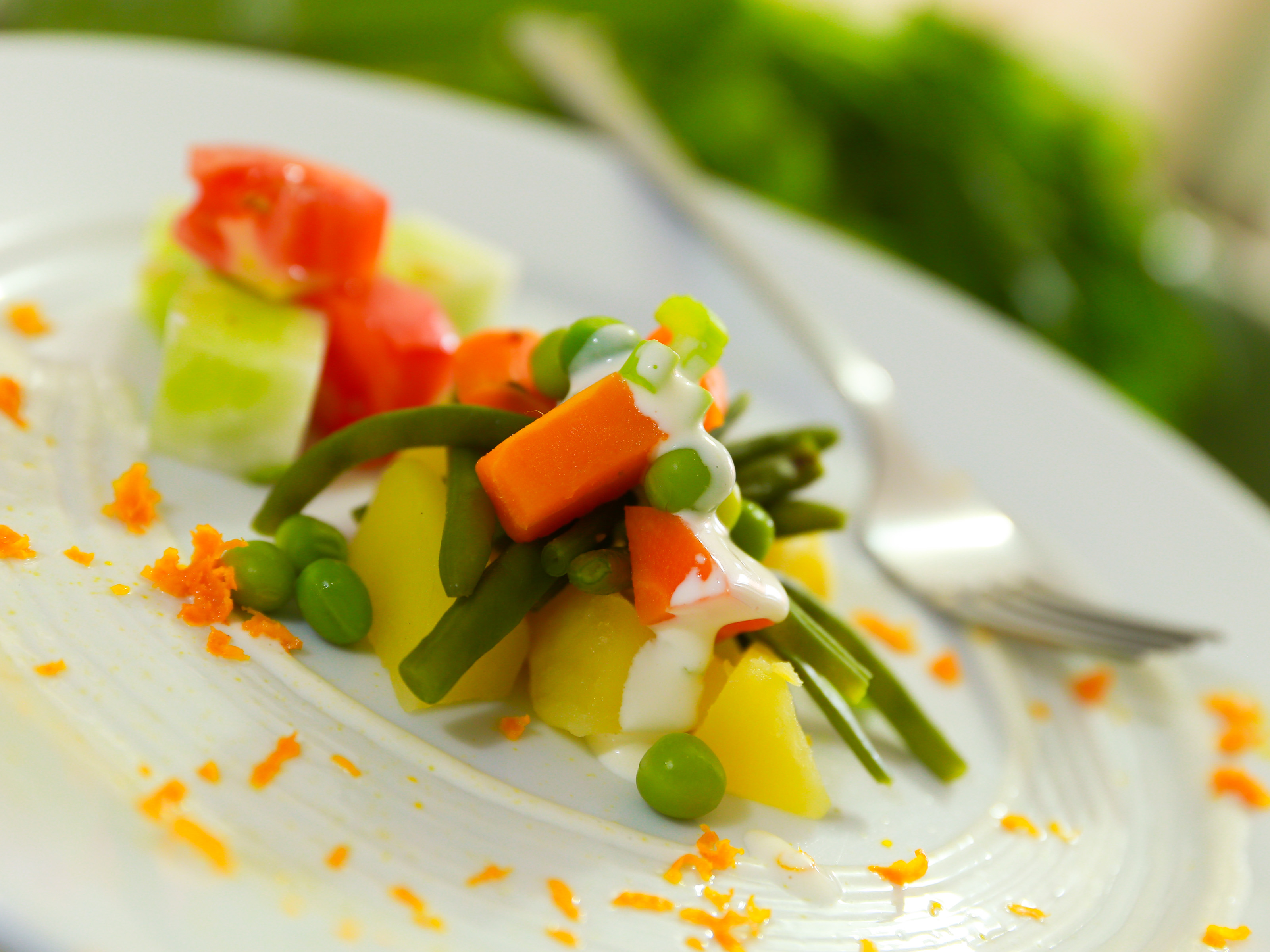 Detail Plating Salad Sayur Nomer 16