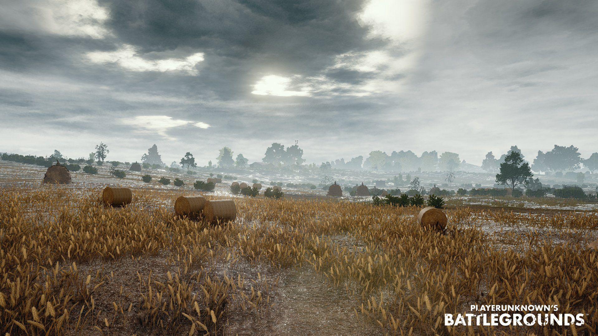 Detail Player Unknown Battlegrounds Background Nomer 5