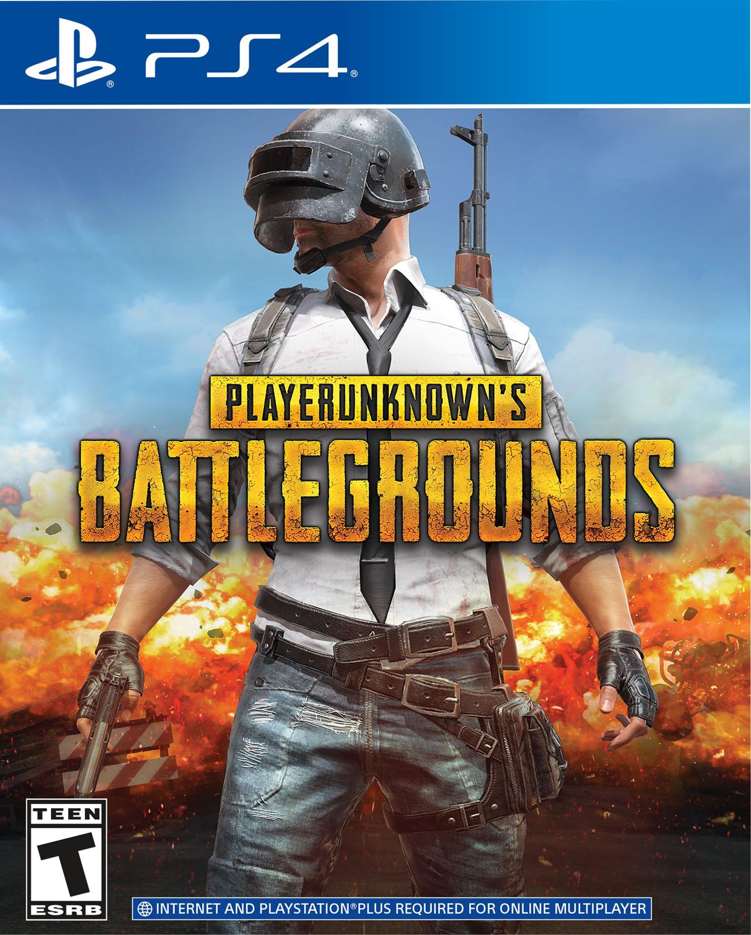 Detail Playerunknown Battlegrounds Team Size Nomer 17