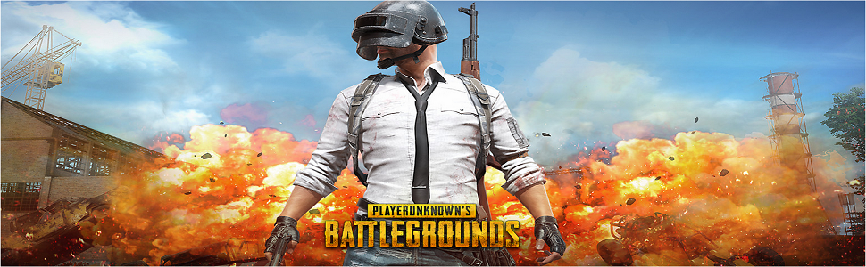 Detail Playerunknown Battlegrounds Team Size Nomer 29