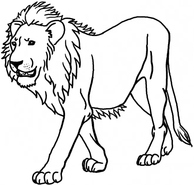 Detail Aslan Resmi Boyama Nomer 24