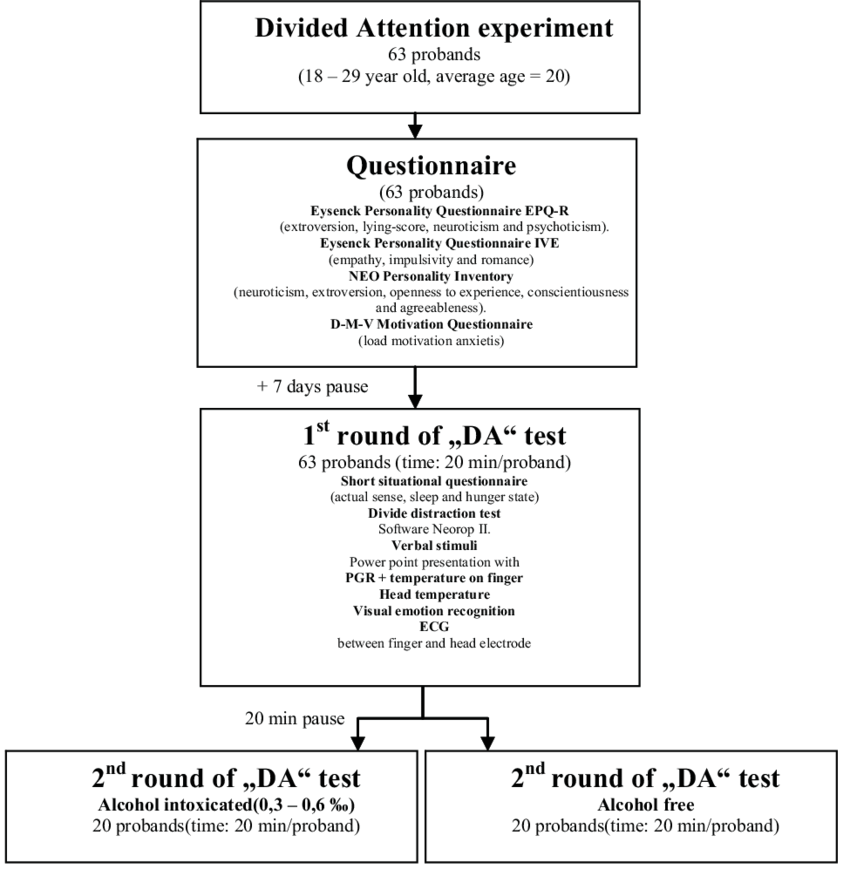 Detail Attention Download Nomer 33