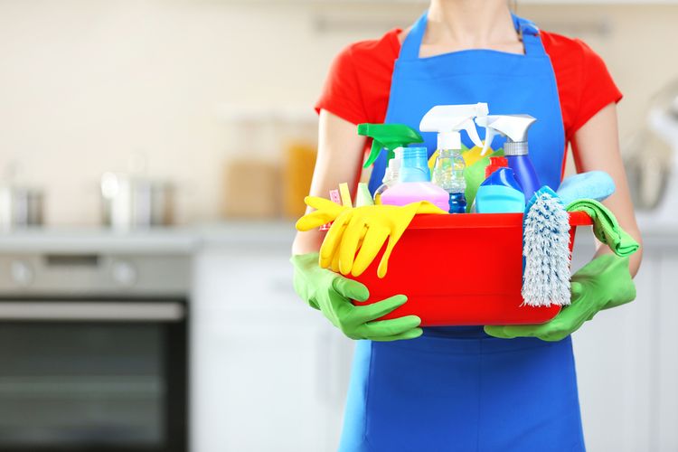 Detail Aturan Menjaga Kebersihan Rumah Nomer 47